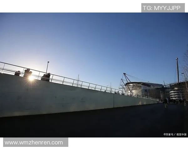 英超联赛视角下重庆乒乓球队节奏表现的深度分析与点评 英超联赛视角下重庆乒乓球队节奏表现的深度分析与点评